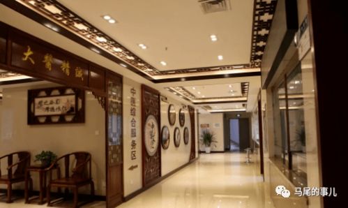 傳承國粹，守護健康——羅星街道社區衛生服務中心中醫門診正式開診