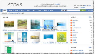 音樂(lè)類CMS應(yīng)更注重用戶分享與互動(dòng) 以STCMS為例